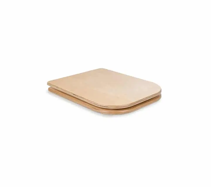 Toilet_seat_with_lid_3.webp