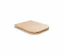 Toilet_seat_with_lid_3.webp